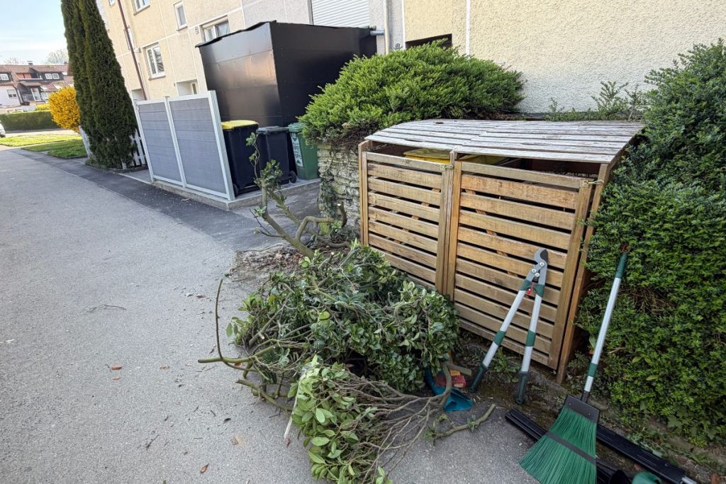 Gartenbereich vor der Gartenpflege am Bodensee