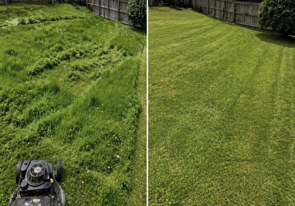 Professionelle Rasenpflege und Gartenpflege am Bodensee