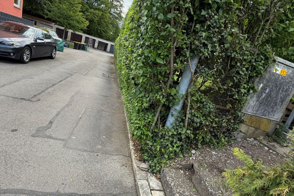 gartenpflege-bodensee-hecke-nacher 2