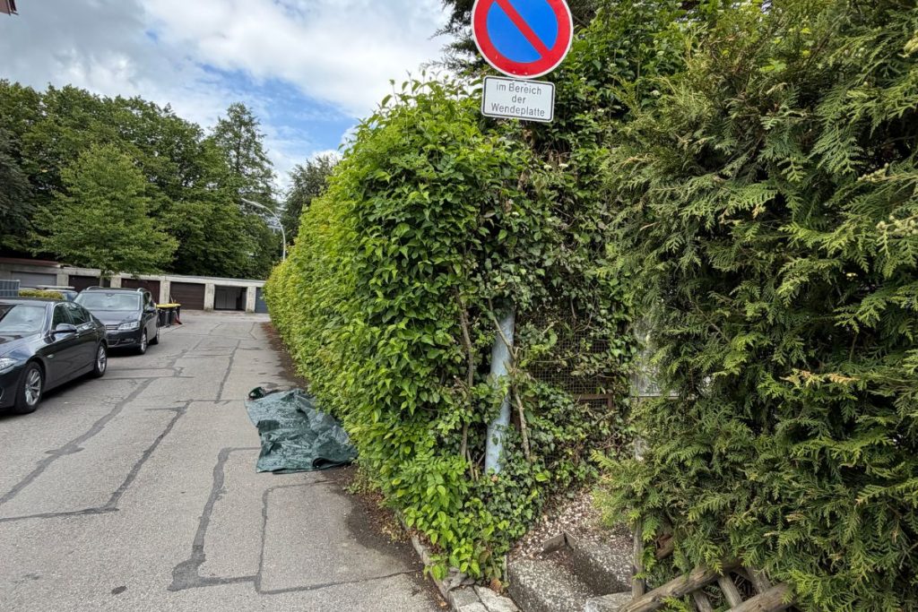 gartenpflege-bodensee-hecke-vorher 2