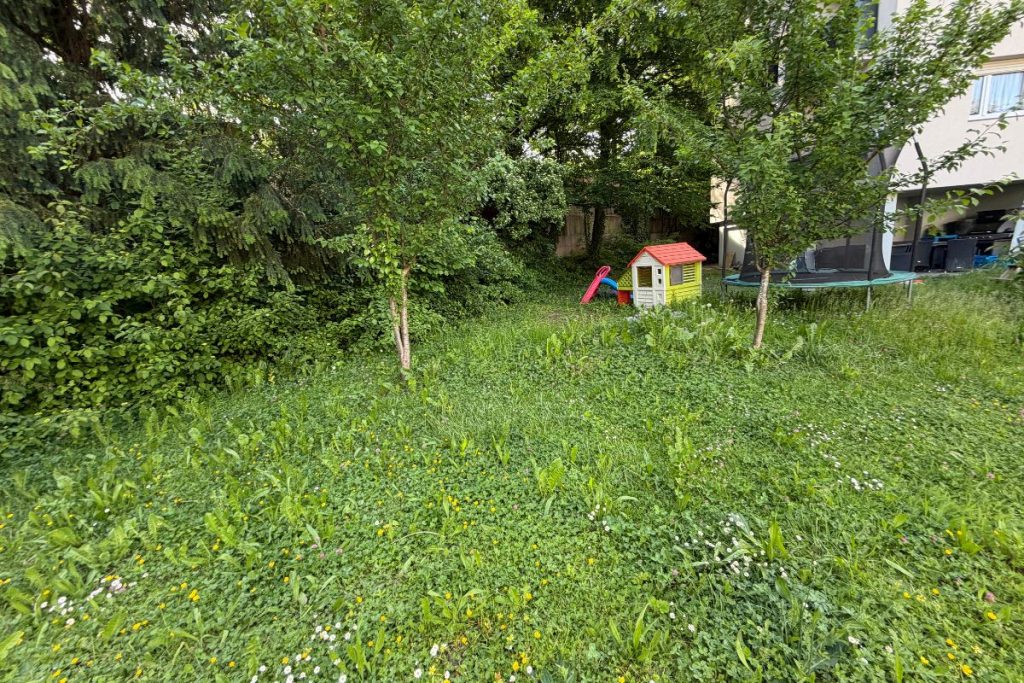 gartenpflege-bodensee-vorher