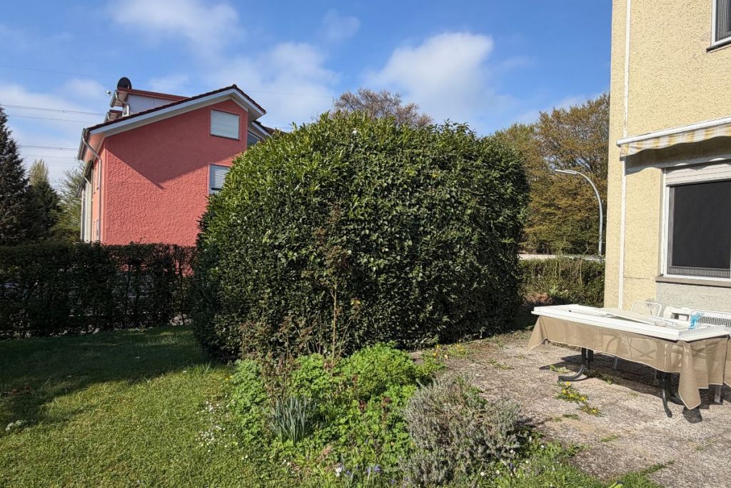 Professionelle Buschentfernung und Gartenpflege am Bodensee vorher